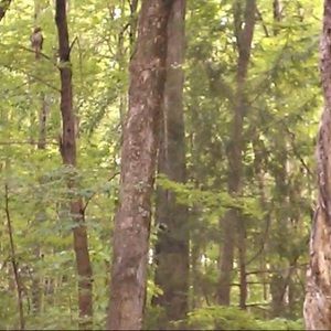 Meet your Posher, Marta